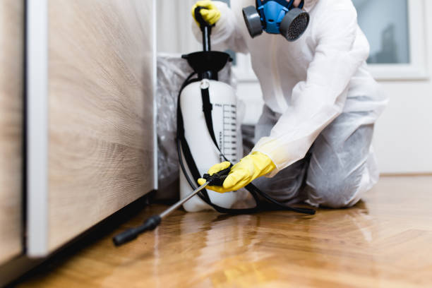 Best Wasp Removal Services  in Leland, NC