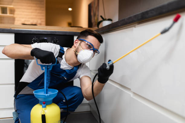 Best Cockroach Control Services  in Leland, NC