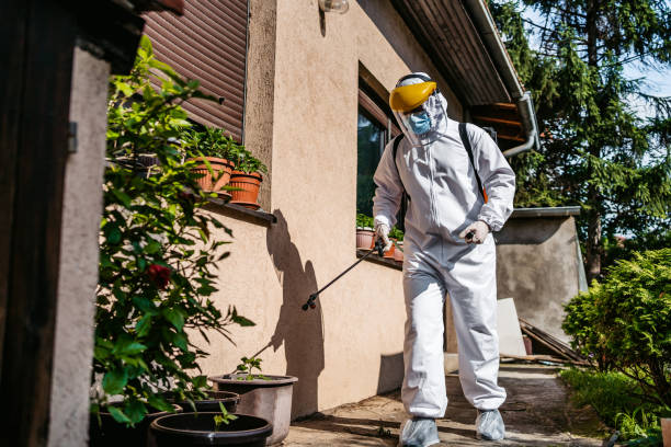 Best Pest Control Near Me  in Leland, NC