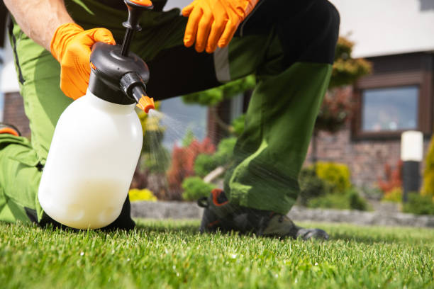 Best Termite Control Services  in Leland, NC