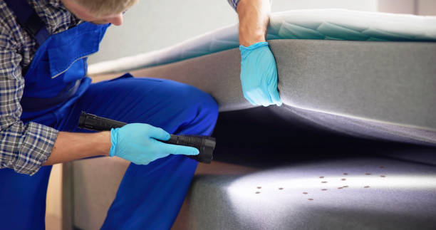 Best Pest Inspection Near Me  in Leland, NC