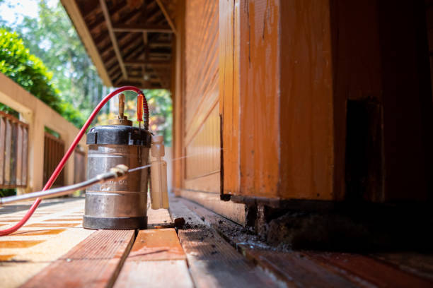 Best Ant Control Services  in Leland, NC