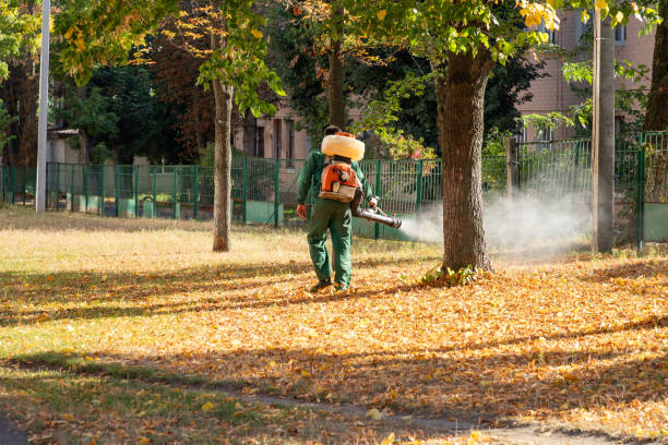 Best Rat Extermination Near Me  in Leland, NC