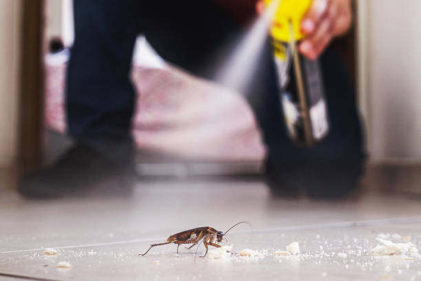 Professional Pest Control in Leland, NC