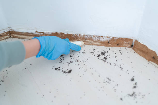 Best Pest Inspection Near Me  in Leland, NC